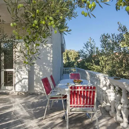 Zdenka 브로다리카